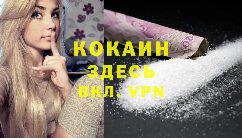 закладки  Новокубанск  COCAIN VHQ 